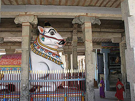 Nandhi au Temple de Thiruvidaimarudhur