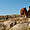 Un dromadaire en Cappadoce