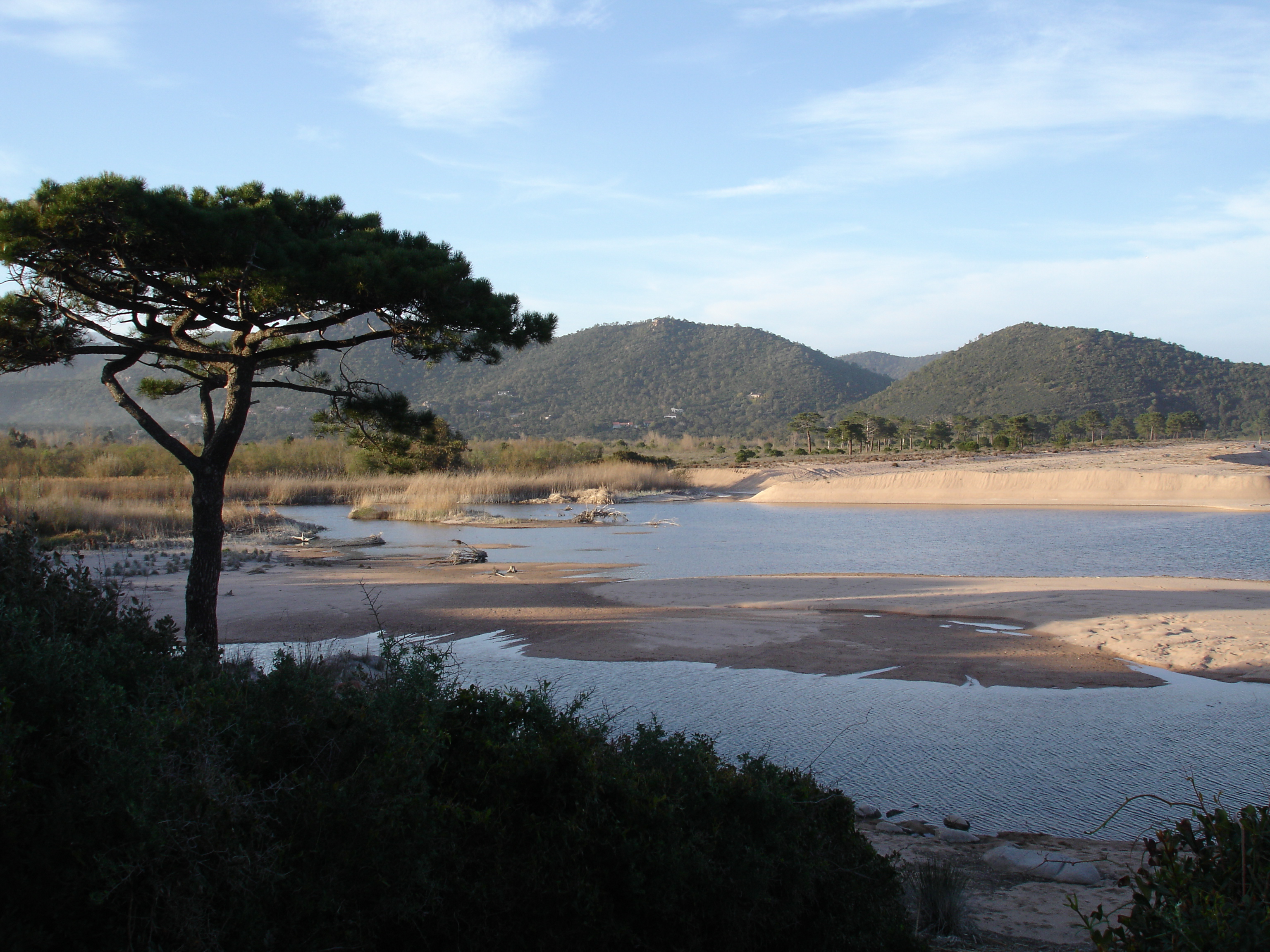 Plage de LOvu Santu : Plages : Mer : Plage dOvu Santu :  Sainte-Lucie-de-Porto-Vecchio : Corse-du-Sud : Corse : Routard.com