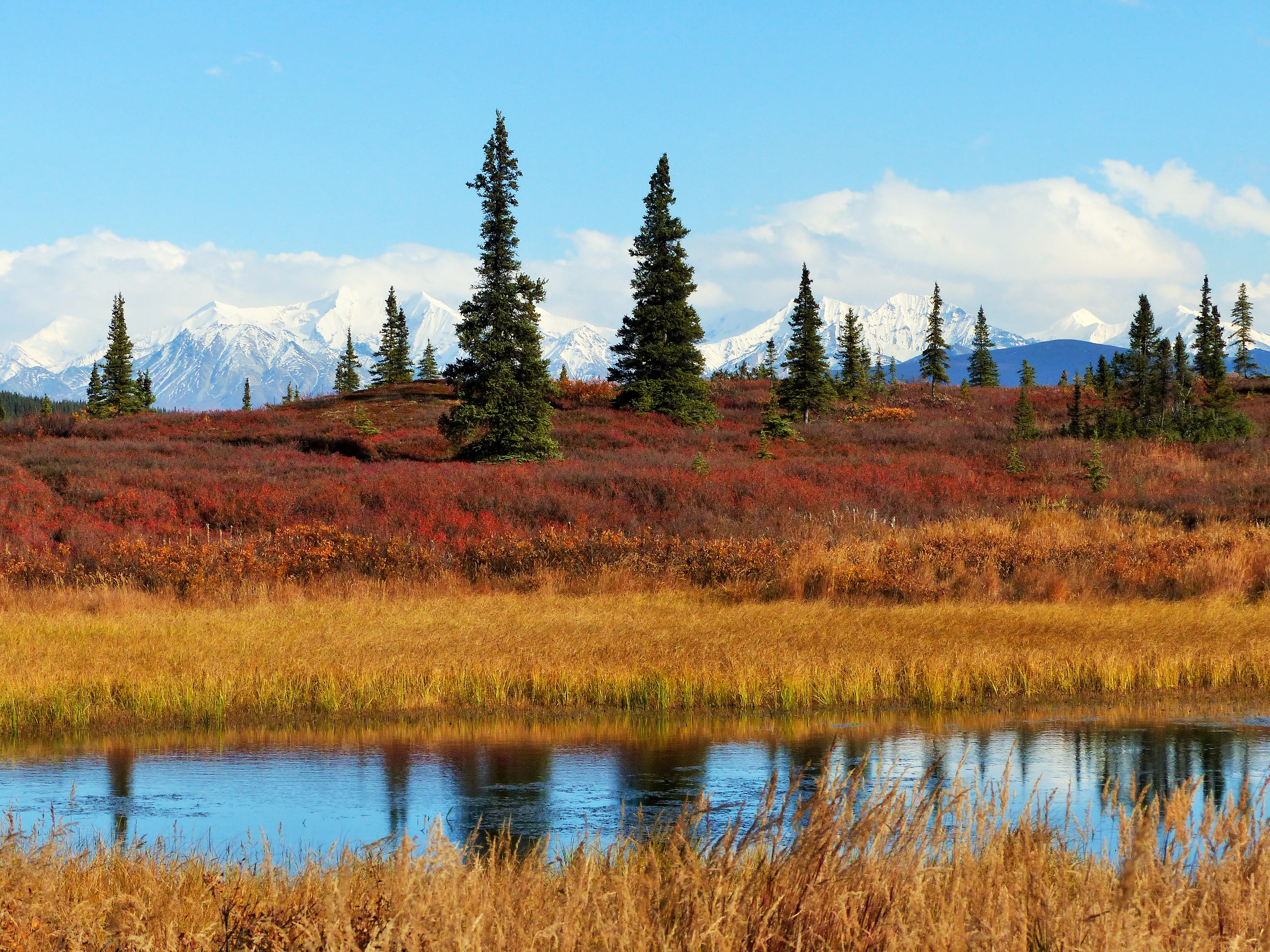 Denali Nat'l Park Denali Nat'l Park