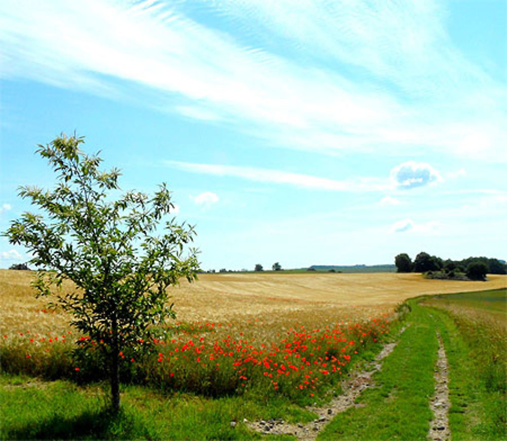 Ciel de Picardie