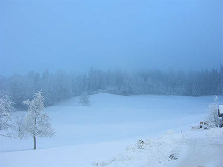 Paysage Bleu Paysage Bleu