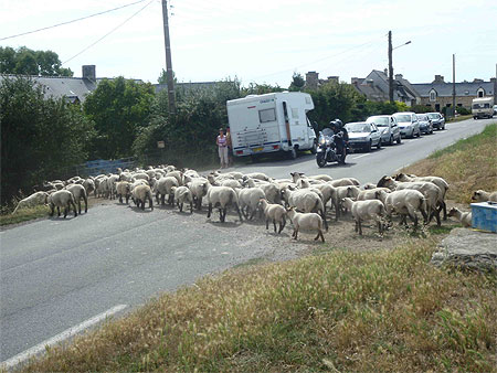 On rentre! On rentre!