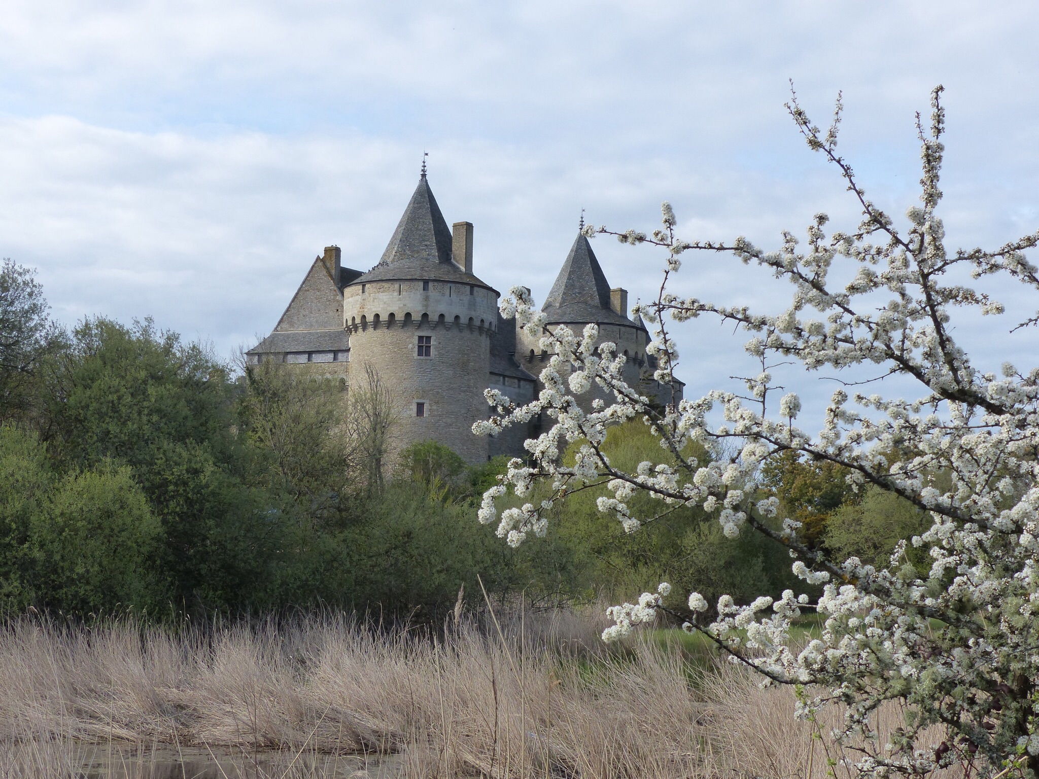 Château de Suscinio Château de Suscinio