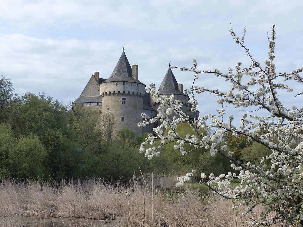 Château de Suscinio