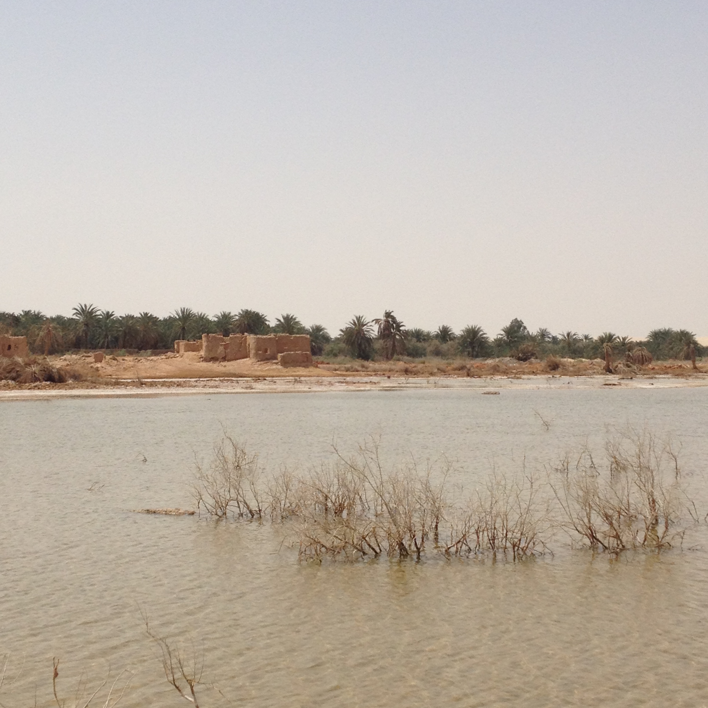 La plage au milieu du désert La plage au milieu du désert