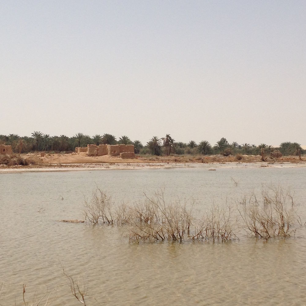 La plage au milieu du désert 