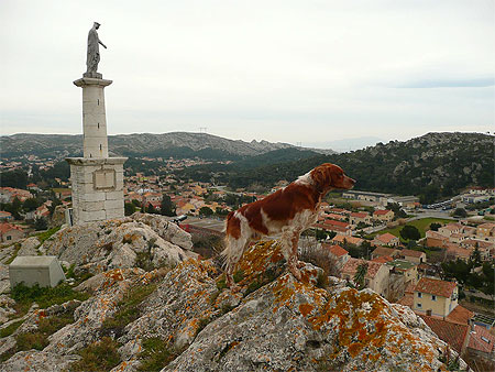 La Madone et le chien La Madone et le chien