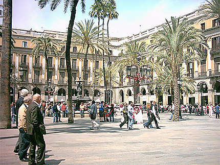 Plaza real
