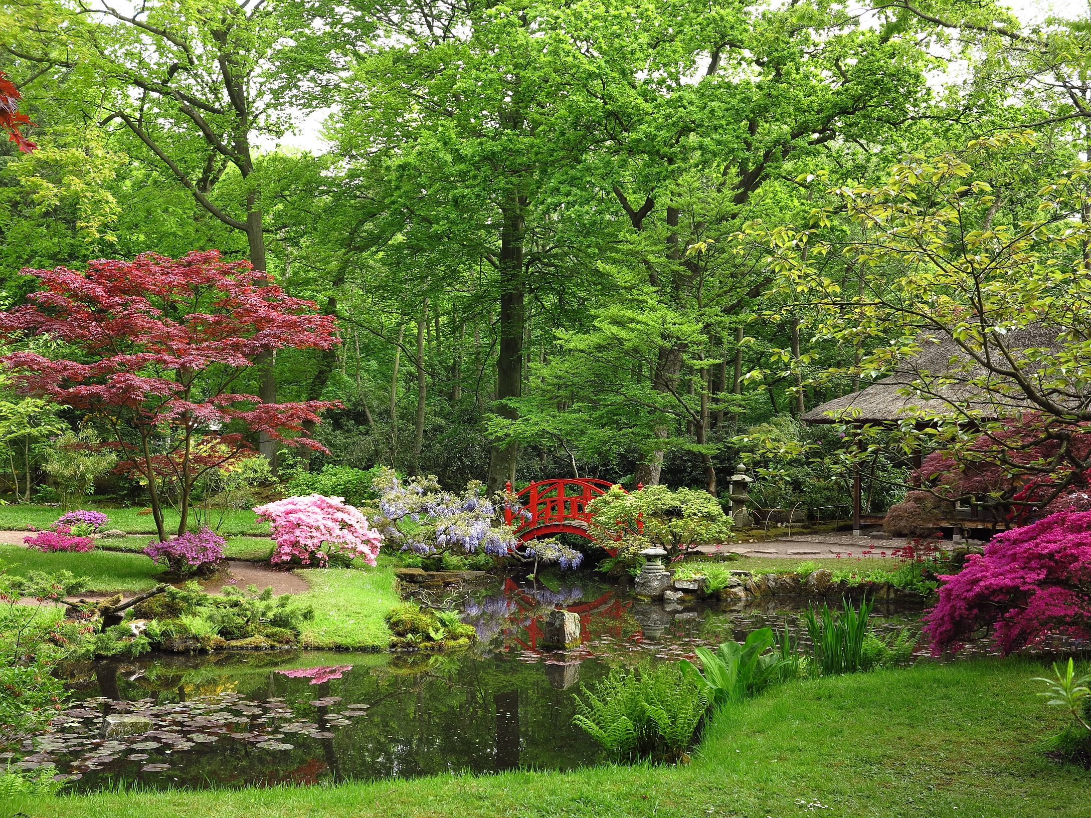 Jardin japonais du parc Clingendael