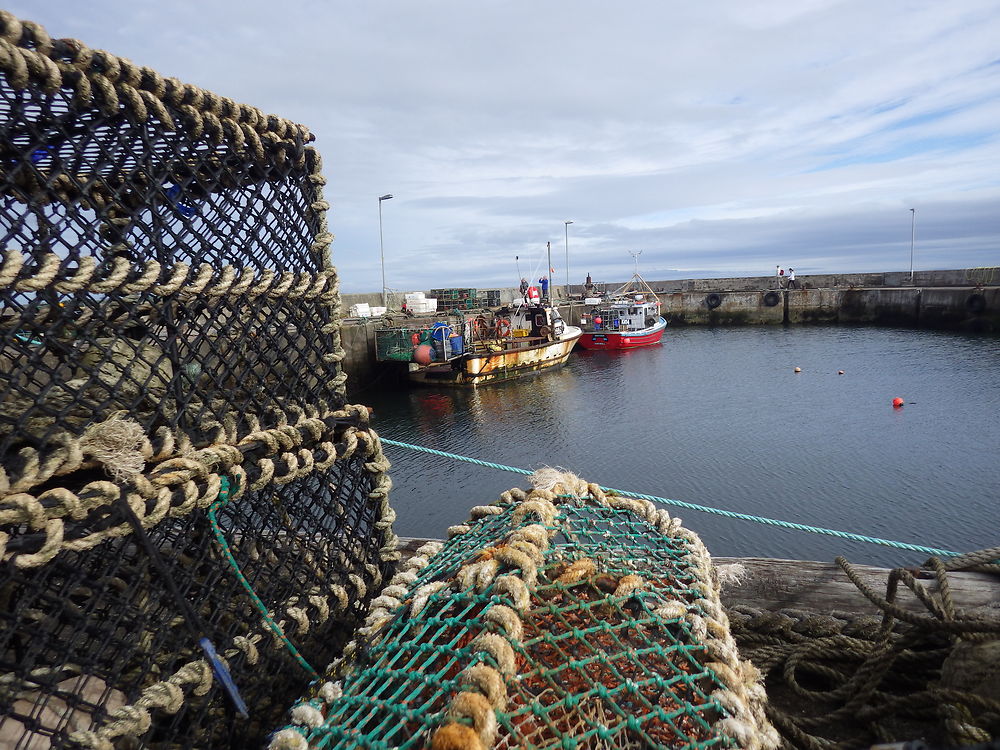 Port de Thurso