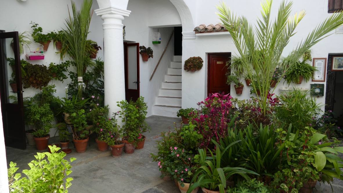 Patio andalou Patio andalou