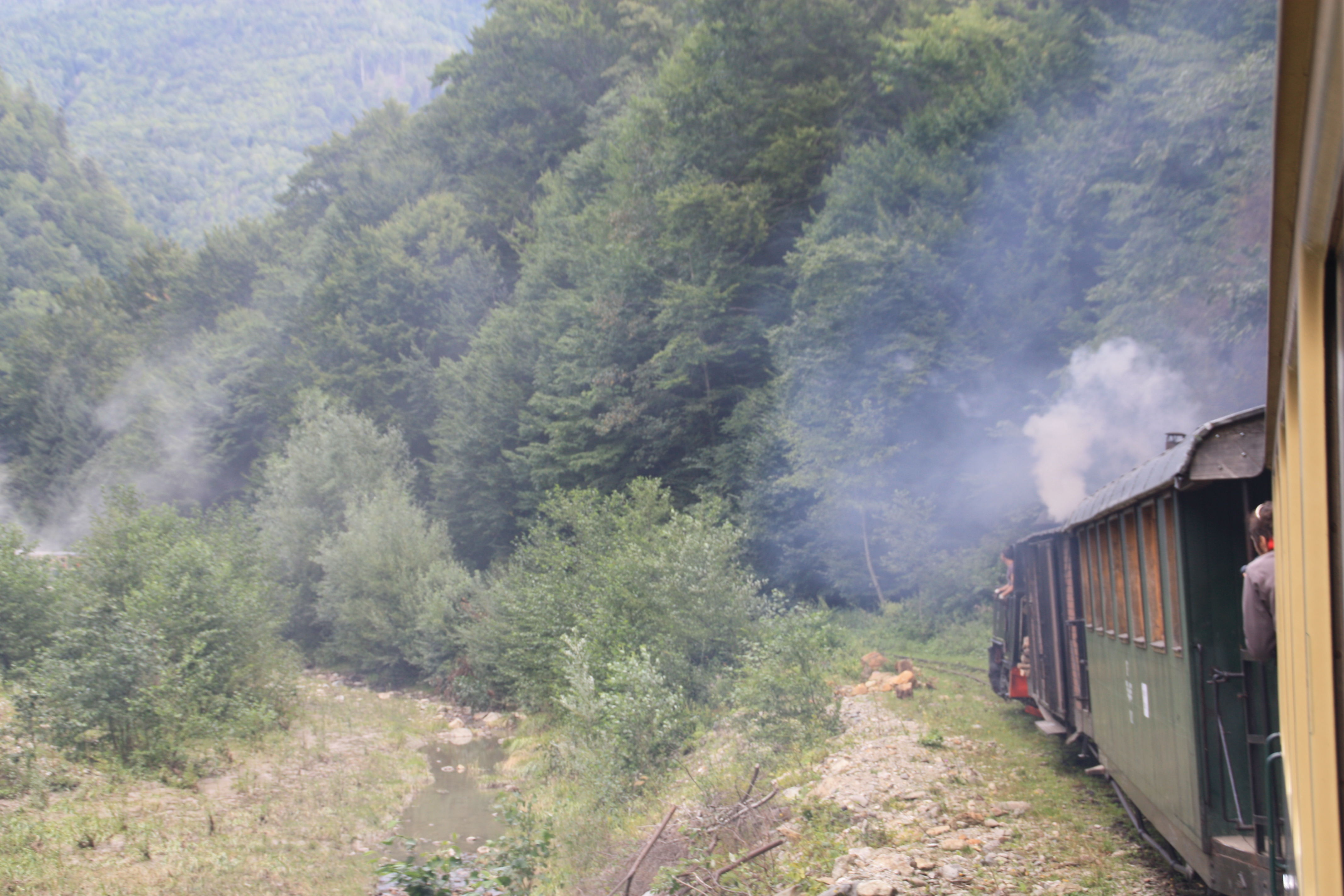 Petit train des bûcherons, Maramures, Roumanie