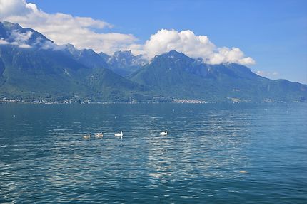 Lac et montagnes à Montreux