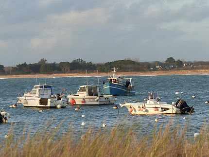 Un retour de pêche 