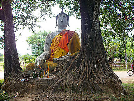De Champassak au Wat Phou