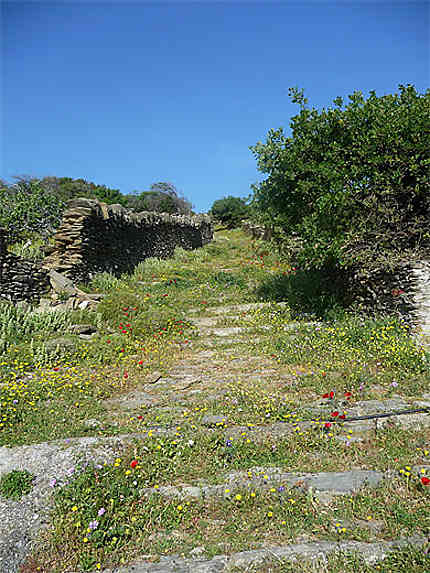 Kalderimi à Andros au printemps