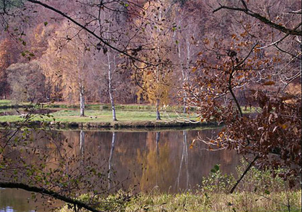 Etang de Lembach