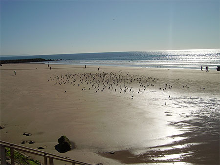 Plage de la Costa da Caparica Plage de la Costa da Caparica
