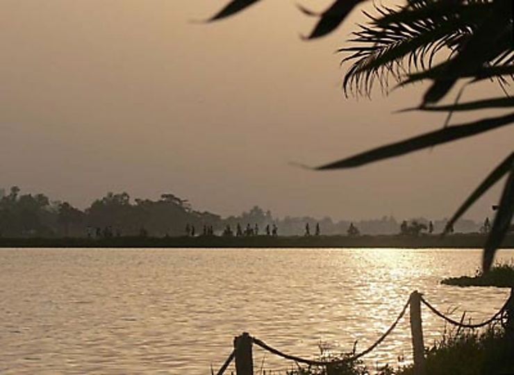 Lomé la curieuse : le vieux quartier populaire Bê et sa forêt sacrée