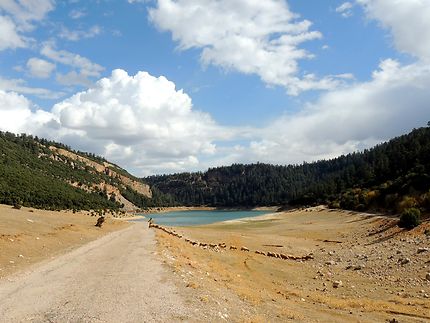 Le troupeau, route au Moyen Atlas