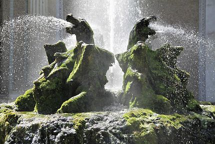 Fontana dei draghi - Villa d’Este - Tivoli