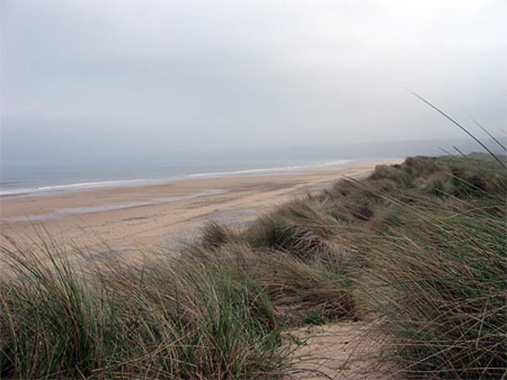 Dune et mer