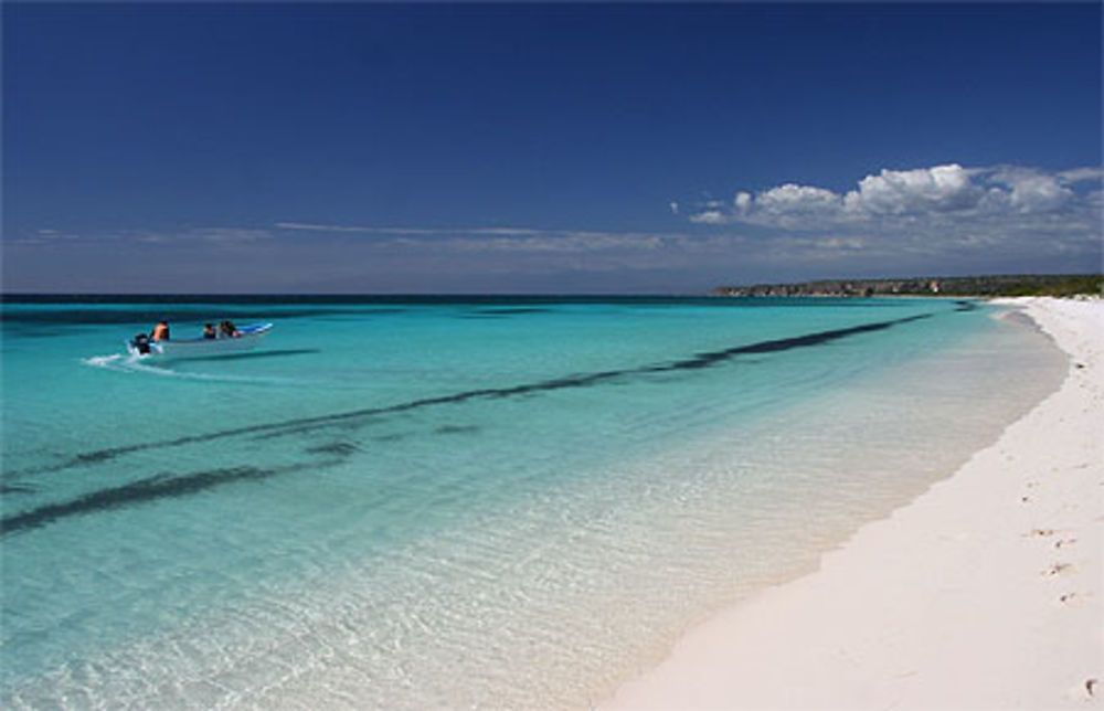 Bahia de las Aguilas