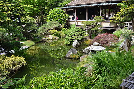 Une pause-thé au jardin japonais?
