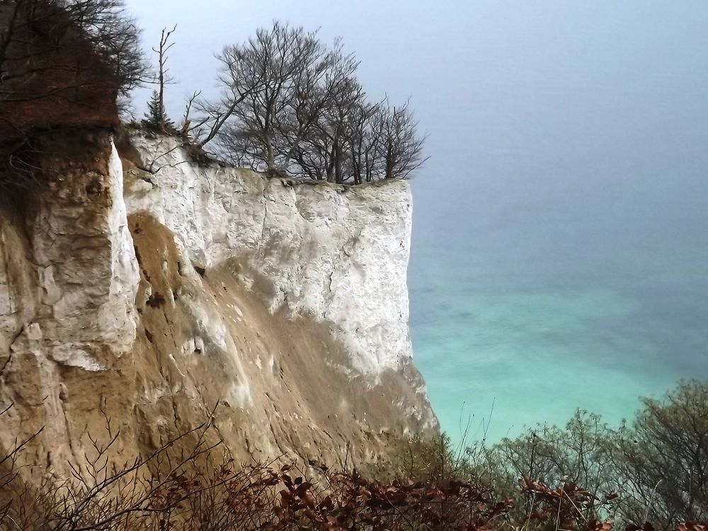 Falaises crayeuses de Mons Klint