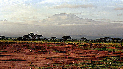 Au pied du Kilimanjaro