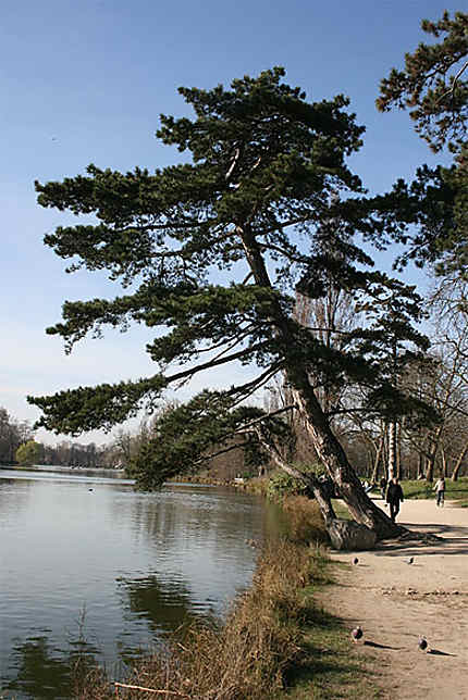 Lac Daumesnil-Bois de Vincennes