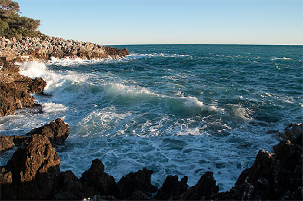 Cap Martin sentier des douaniers