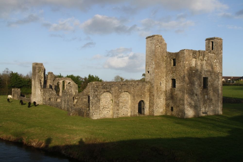 Ruine à Trim