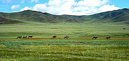 Naadam course de chevaux