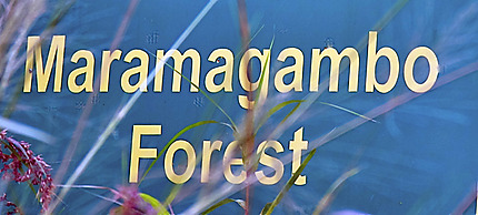 La Forêt et la Grotte de Maramagambo