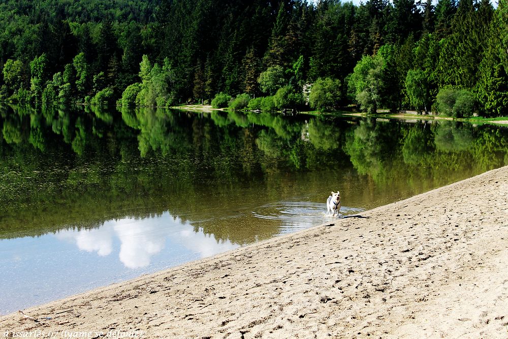 Lac d'Issarlès au dessus du mont Gerbier de joncs