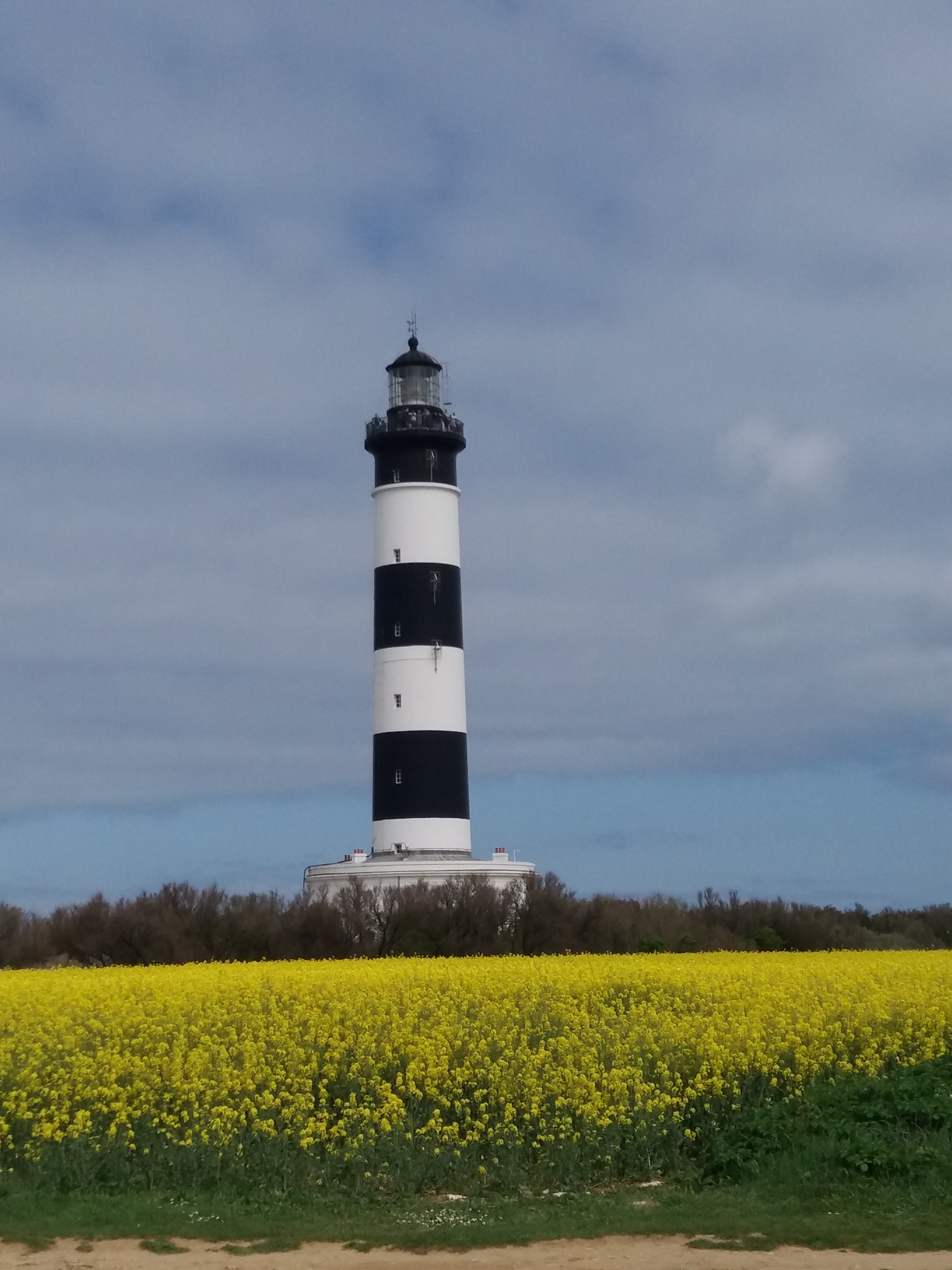 Phare de chassiron Phare de chassiron