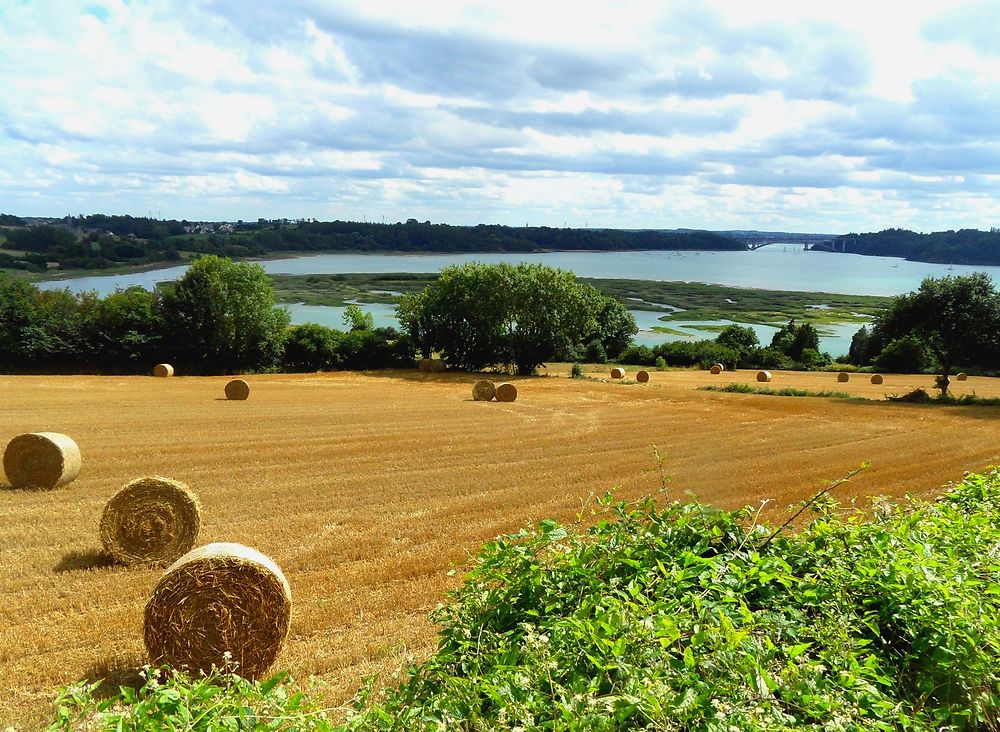 La Rance à Saint Suliac