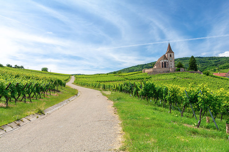 Route des Vins d’Alsace - Bas-Rhin, Haut-Rhin