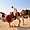 JBR Walk - Les chameaux et le guide