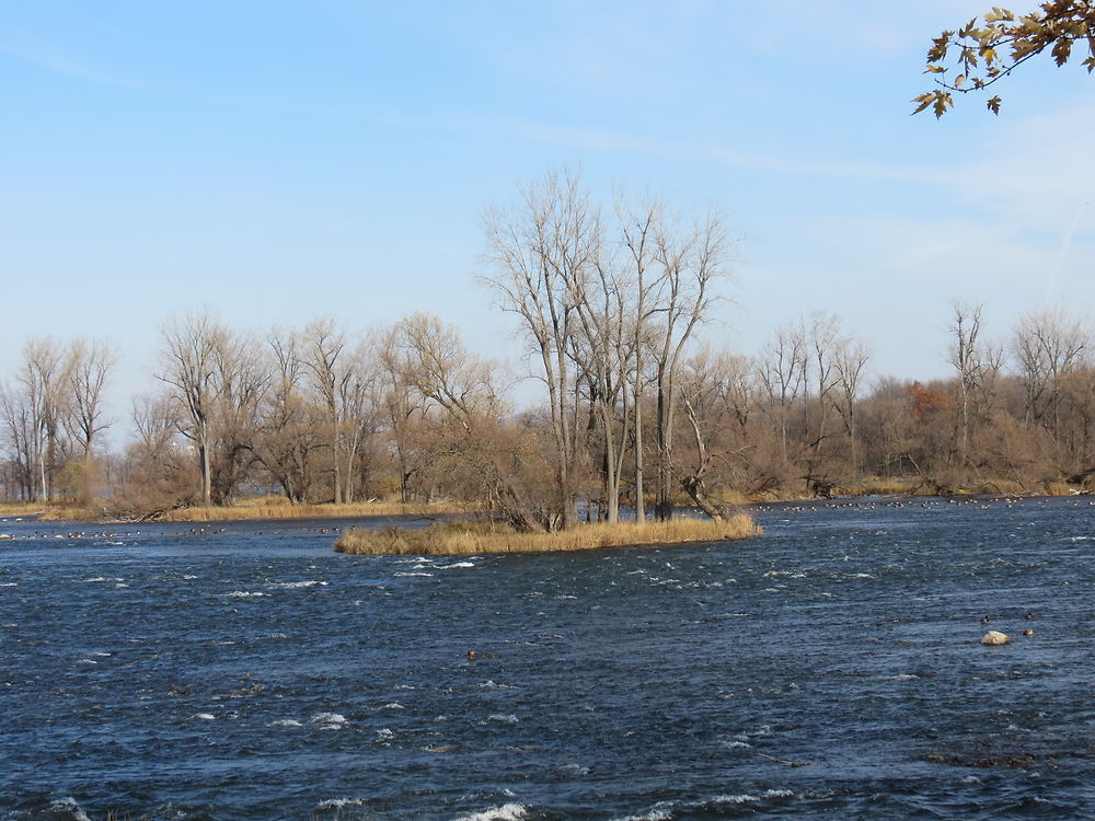 Paysage à Chambly