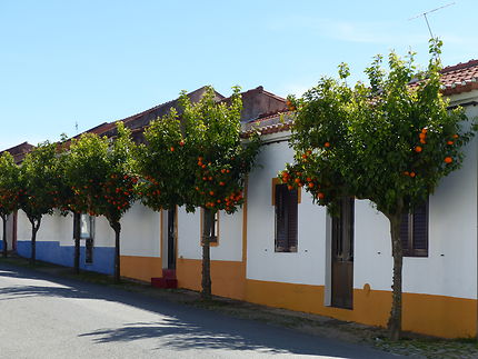 Villa Nova de Sao Bento, Portugal