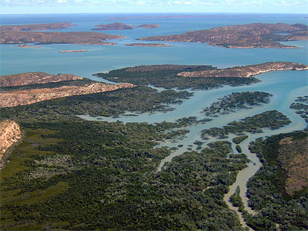 Mangrove dans l'archipel Mangrove dans l'archipel