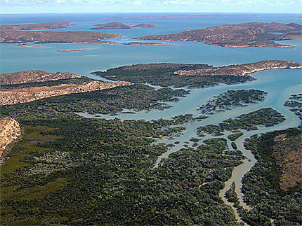 Mangrove dans l'archipel