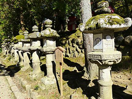 Lanternes de pierre du Sanctuaire Kasuga Taisha