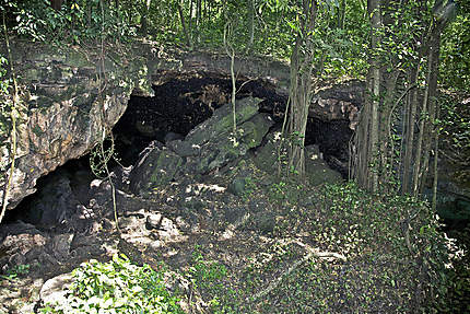 La Forêt et la Grotte de Maramagambo
