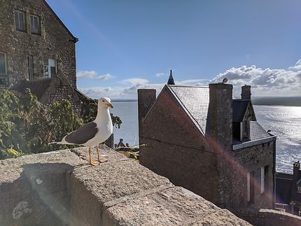 Prendre la pose au Mont-Saint-Michel