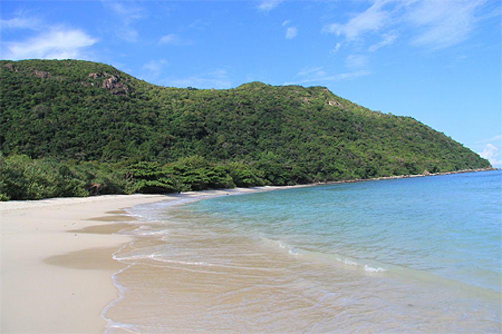 L'île aux tortues