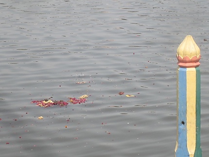 Offrande flottant sur le fleuve Yamuna